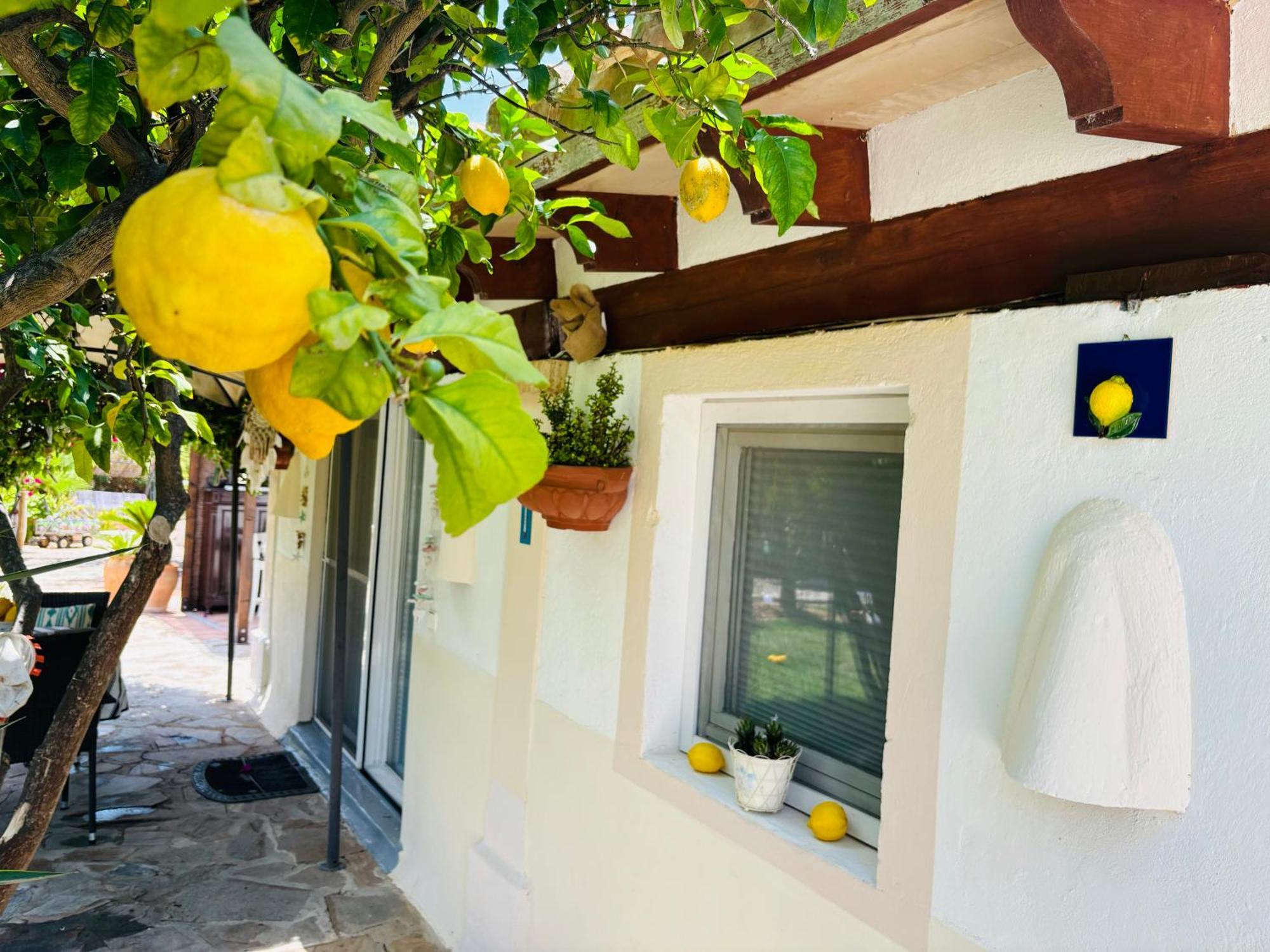 Casita Limón Andratx Exterior foto